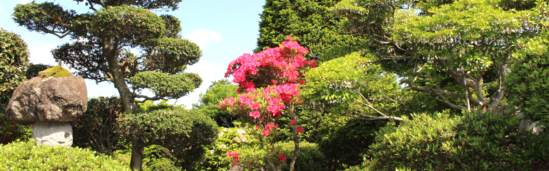 株式会社　Y's Garden　沖縄　造園　庭掃除　伐採　草刈り