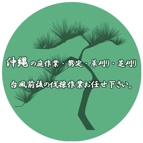 沖縄の庭作業・剪定・草刈り・芝刈り・台風前後の伐採作業お任せください。沖縄　造園　庭掃除　伐採　草刈り