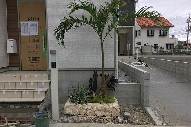 沖縄、造園、琉球石灰岩、ヤシの木